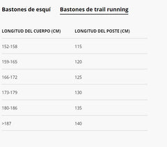 Bastones de Carbono Dynafit Alpine Pro Pole Nimbus