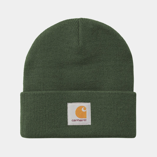 Gorro Carhartt Short Watch Sycamore Tree