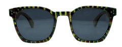 Gafas de sol Castor Terranova Black Multicolor